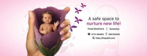 <strong><strong><strong>Garbh Fetal Medicine & Diagnostic Centre In Chandigarh</strong></strong></strong>