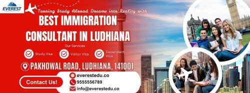 <strong><strong><strong><strong>Visa Consultant in Ludhiana</strong></strong></strong></strong>