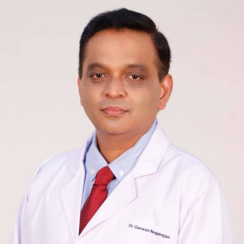 <strong><strong><strong>Dr Ganesh Nagarajan</strong></strong></strong>