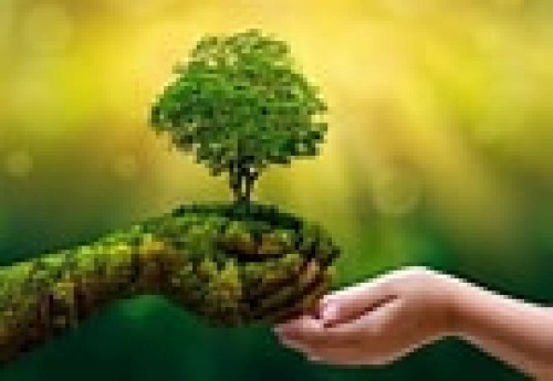 <strong><strong><strong><strong>Waste Management Machines Green Planet Solutions</strong></strong></strong></strong>