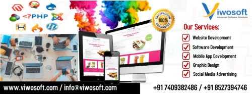 <strong><strong><strong><strong>Best custom software development company | Viwosoft</strong></strong></strong></strong>