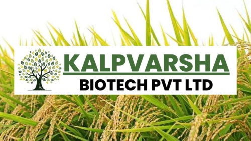 <strong><strong><strong>Kalpavriksh Biotech Mushroom and Compost Supplier</strong></strong></strong>