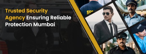 <strong><strong><strong>NTR Security Services</strong></strong></strong>