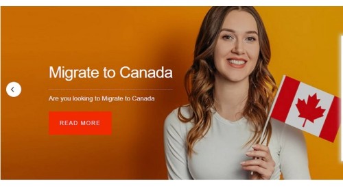 <strong><strong><strong><strong>Best Immigration Consultant and Top Immigration Expert</strong></strong></strong></strong>