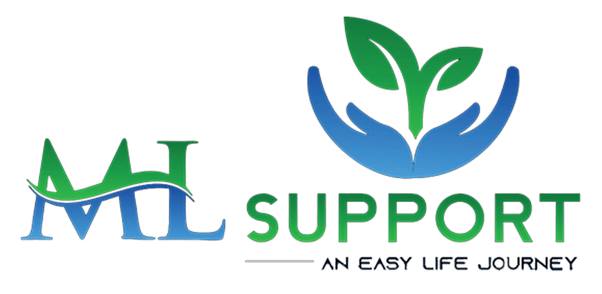 ML Support  Affordable Medical Support & Ambulance Services