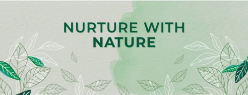 <strong><strong><strong><strong>OrganiCart Nutrition And Hospitality Pvt Ltd</strong></strong></strong></strong>