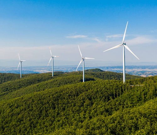 <strong><strong><strong><strong>Top Wind Energy Companies Leading the Renewable Revolution in India</strong></strong></strong></strong>