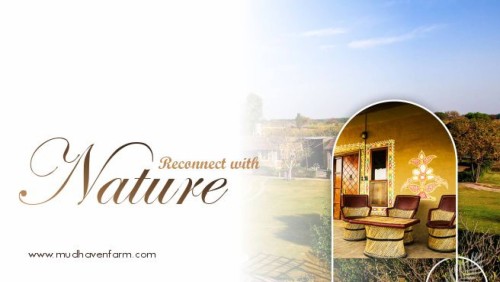<strong><strong><strong><strong>Mud Haven Farm - Farm Staycation Near Delhi NCR</strong></strong></strong></strong>