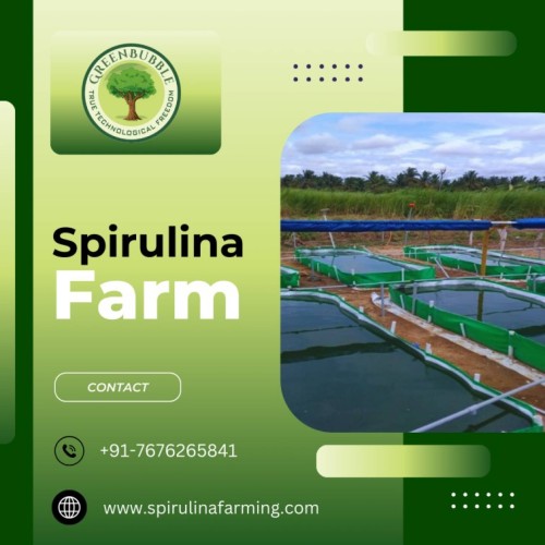 <strong><strong><strong>Spirulina Farming Solution | Spirulina Algae Farming</strong></strong></strong>
