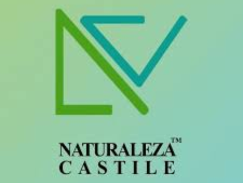 <strong><strong><strong><strong>NATURALEZA CASTILE</strong></strong></strong></strong>