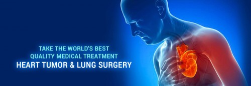 <strong><strong>Best Cardiothoracic Surgeon in Ahmedabad</strong></strong>