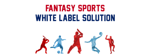 <strong><strong><strong><strong>Fansportiz - White Label Fantasy Sports App India</strong></strong></strong></strong>