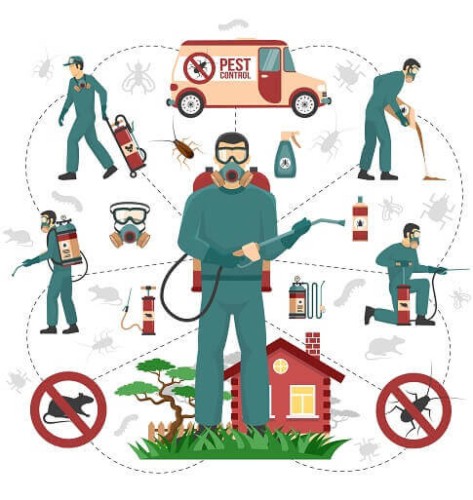 <strong><strong><strong><strong>RPA Pest Control</strong></strong></strong></strong>