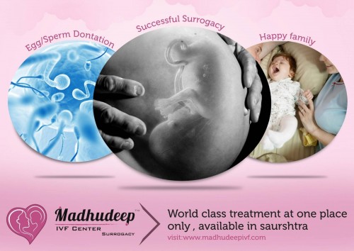 <strong><strong>IVF treatment in Gujarat</strong></strong>