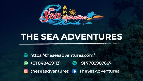 <strong><strong>The Sea Adventures</strong></strong>