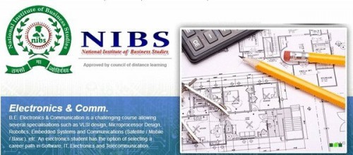 <strong><strong>National Institute of Business Studies</strong></strong>