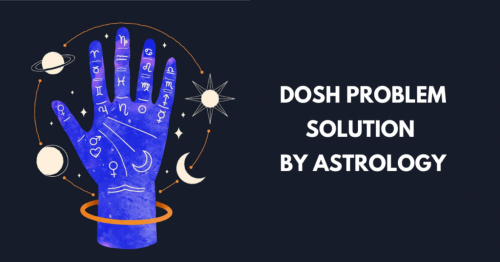 <strong><strong>Anil Astrologer</strong></strong>