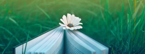 <strong><strong>Reader Lovers</strong></strong>