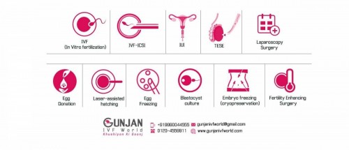 <strong><strong>Gunjan IVF World</strong></strong>