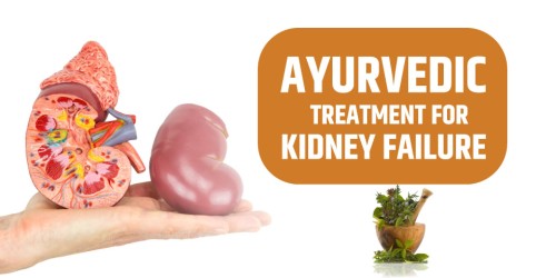 <strong><strong><strong><strong>Kidney Specialist Hosptial | Karma Ayurveda</strong></strong></strong></strong>