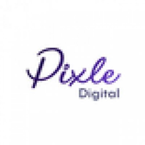 Animation Video Services by Pixle Digital