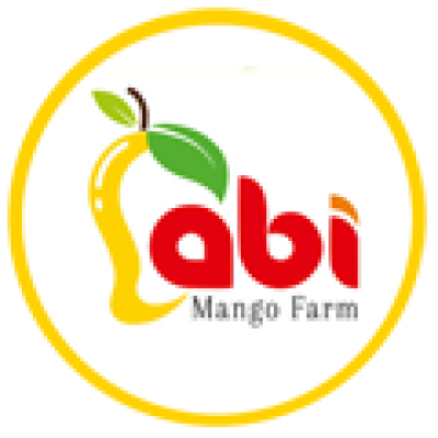 Buy Premium 100% Organic Mangoes in India