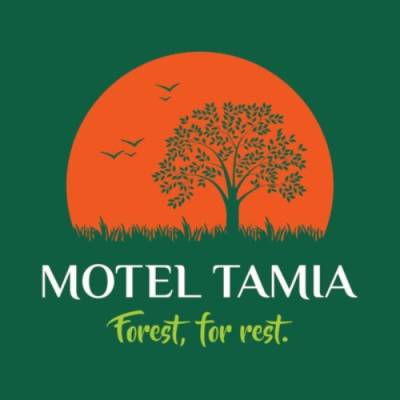 Hotel In Pachmarhi Madhya Pradesh | Hotel Pachmarhi Madhya Pradesh | Motel Tamia