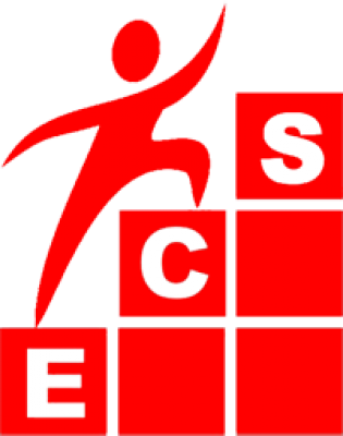 ECS Business Software Solutions